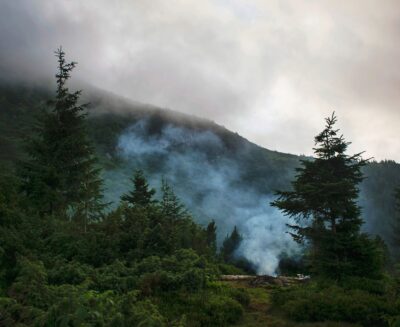 Misty atmosphere over Carpathian mountains in Ukraine with lush green pine trees.